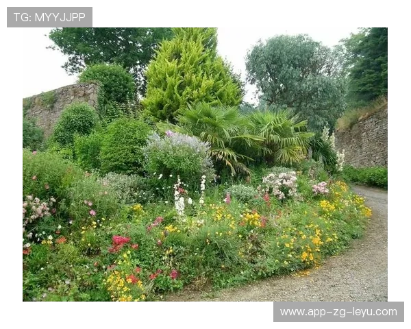 -¦-_Â¼¦¦¦+¥ÍãÏ¦Ôú¼-¤+++­-ªð¯-ã¦²Àó